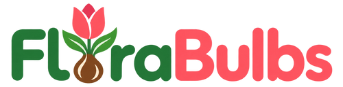 FloraBulbs.ro